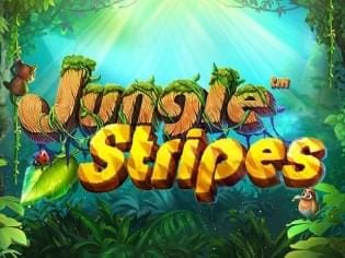 Jungle Stripes game thumbnail