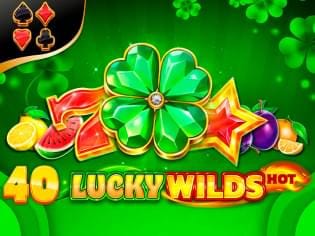 40 Lucky Wilds Hot game thumbnail