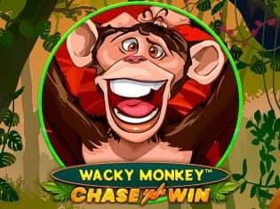 Wacky Monkey - Chase'N'Win game thumbnail